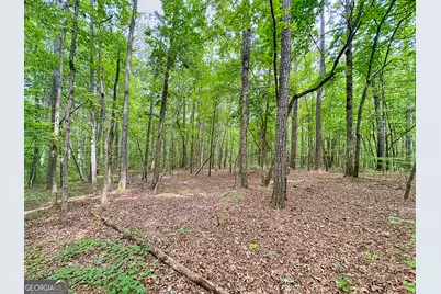 254 Norwood Road, Hogansville, GA 30230 - Photo 37