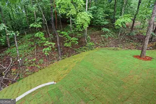 6043 Bluewater Blvd, Gainesville, GA 30506 - Photo 39