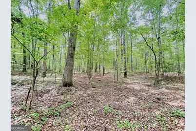 254 Norwood Road, Hogansville, GA 30230 - Photo 13