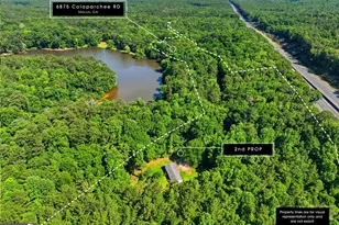 6875 Colaparchee Rd, Macon, GA 31210 - Photo 61