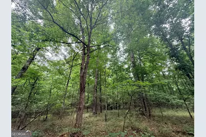 1 Bethesda Church Road, Lexington, GA 30648 - Photo 13
