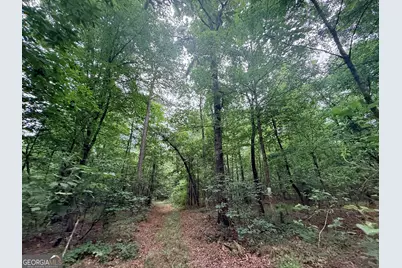1 Bethesda Church Road, Lexington, GA 30648 - Photo 11