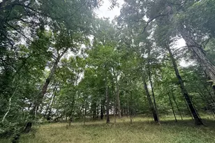 1 Bethesda Church Rd, Lexington, GA 30648 - Photo 1