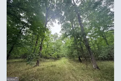 1 Bethesda Church Road, Lexington, GA 30648 - Photo 29