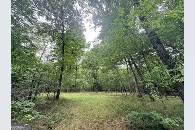 1 Bethesda Church Road, Lexington, GA 30648 - Photo 21