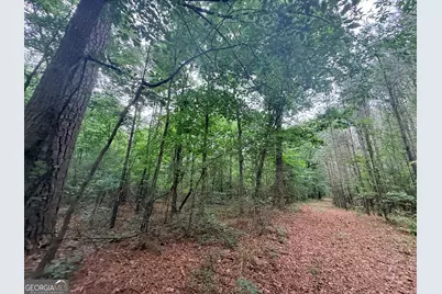 1 Bethesda Church Road, Lexington, GA 30648 - Photo 31