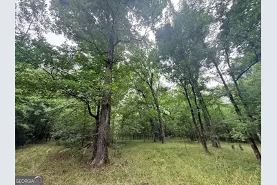 1 Bethesda Church Road, Lexington, GA 30648 - Photo 33