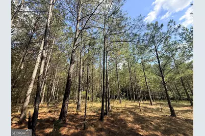 1 Bethesda Church Road, Lexington, GA 30648 - Photo 69