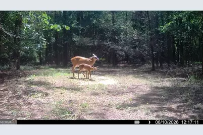 1 Bethesda Church Road, Lexington, GA 30648 - Photo 51