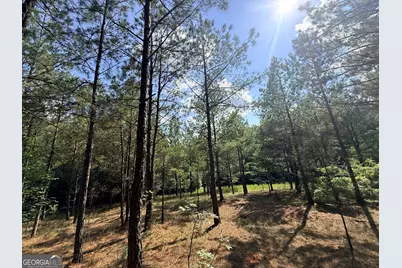 1 Bethesda Church Road, Lexington, GA 30648 - Photo 71