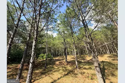 1 Bethesda Church Road, Lexington, GA 30648 - Photo 65