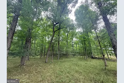 1 Bethesda Church Road, Lexington, GA 30648 - Photo 35