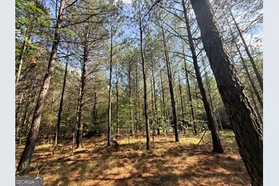 1 Bethesda Church Road, Lexington, GA 30648 - Photo 73
