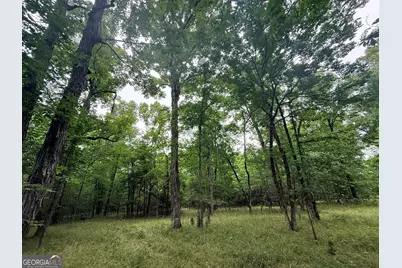 1 Bethesda Church Road, Lexington, GA 30648 - Photo 25