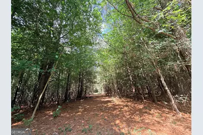 1 Bethesda Church Road, Lexington, GA 30648 - Photo 53