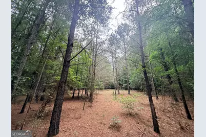 1 Bethesda Church Road, Lexington, GA 30648 - Photo 7