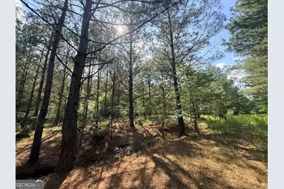 2 Bethesda Church Road, Lexington, GA 30648 - Photo 51