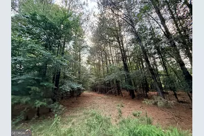 2 Bethesda Church Road, Lexington, GA 30648 - Photo 55