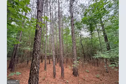2 Bethesda Church Road, Lexington, GA 30648 - Photo 13