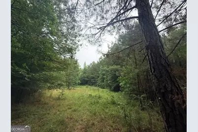 3 Bethesda Church Road, Lexington, GA 30648 - Photo 37