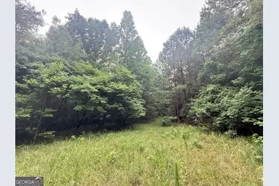 3 Bethesda Church Road, Lexington, GA 30648 - Photo 25