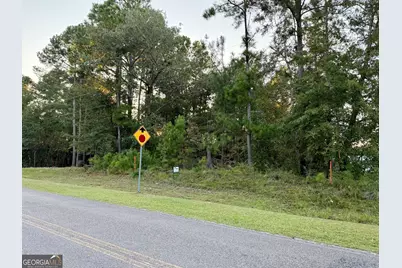 0 Friendship Road, Sylvania, GA 30467 - Photo 5