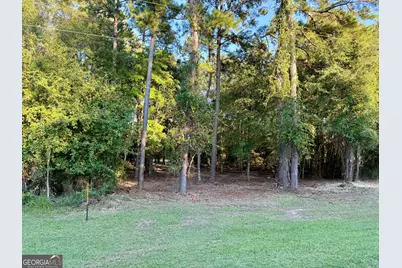 0 Friendship Road, Sylvania, GA 30467 - Photo 3
