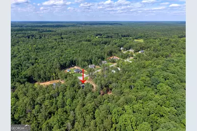 533 Evelyn Drive, Greenville, GA 30222 - Photo 31