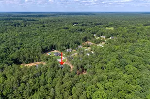 533 Evelyn Dr, Greenville, GA 30222 - Photo 31
