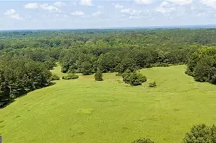 0 Capps Ferry Rd, Chattahoochee Hills, GA 30268 - Photo 7