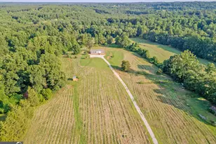 413 Griffin Rd, Martin, GA 30557 - Photo 25