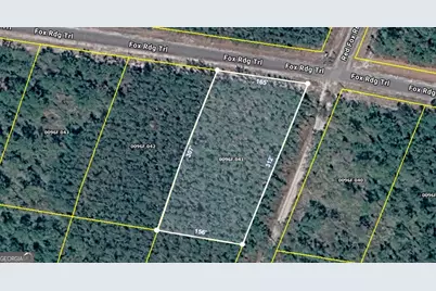 V/L 41 Fox Ridge Trail, Waynesville, GA 31566 - Photo 1