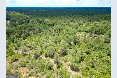 Lot 8 Faithland Drive, Hinesville, GA 31313 - Photo 5