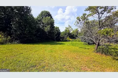 380 Nix Road, Bremen, GA 30110 - Photo 3