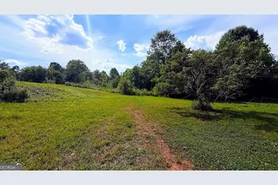 380 Nix Road, Bremen, GA 30110 - Photo 1
