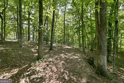 300 Whispering Waters, Demorest, GA 30535 - Photo 5