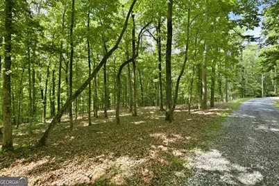 300 Whispering Waters, Demorest, GA 30535 - Photo 3