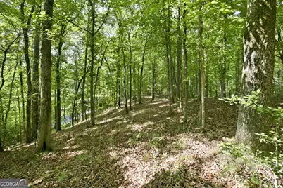 300 Whispering Waters, Demorest, GA 30535 - Photo 7