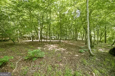 300 Whispering Waters, Demorest, GA 30535 - Photo 15