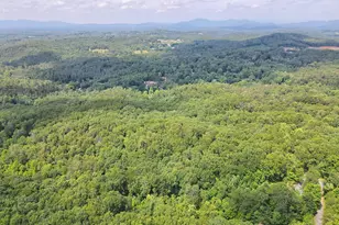 198 Sunrock Mountain Trace, Blue Ridge, GA 30513 - Photo 89