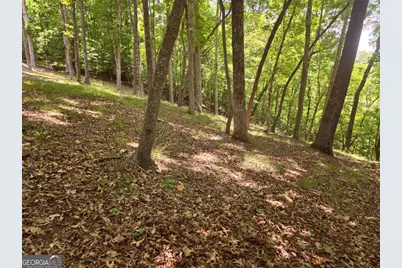 Tr 2 &amp; 3 Settlement Road, Young Harris, GA 30582 - Photo 3