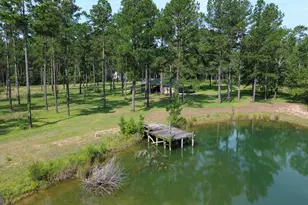 435 Canoochee Bypass, Midville, GA 30441 - Photo 61