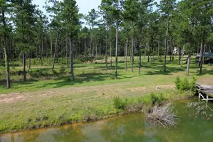 435 Canoochee Bypass, Midville, GA 30441 - Photo 59