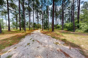 435 Canoochee Bypass, Midville, GA 30441 - Photo 55