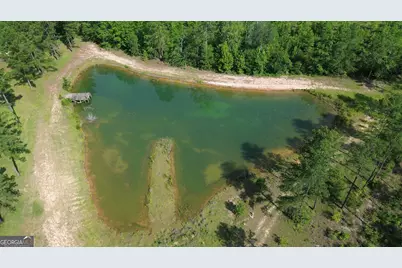 435 Canoochee Bypass, Midville, GA 30441 - Photo 67