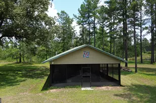 435 Canoochee Bypass, Midville, GA 30441 - Photo 73