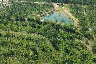 435 Canoochee Bypass, Midville, GA 30441 - Photo 63