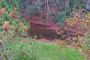 7670 Hiawassee Wilderness Trl, Hiawassee, GA 30546 - Photo 55