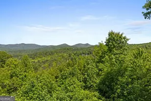 115 Mountain High Dr, Mineral Bluff, GA 30559 - Photo 37