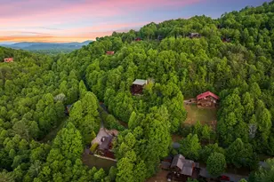 115 Mountain High Dr, Mineral Bluff, GA 30559 - Photo 71